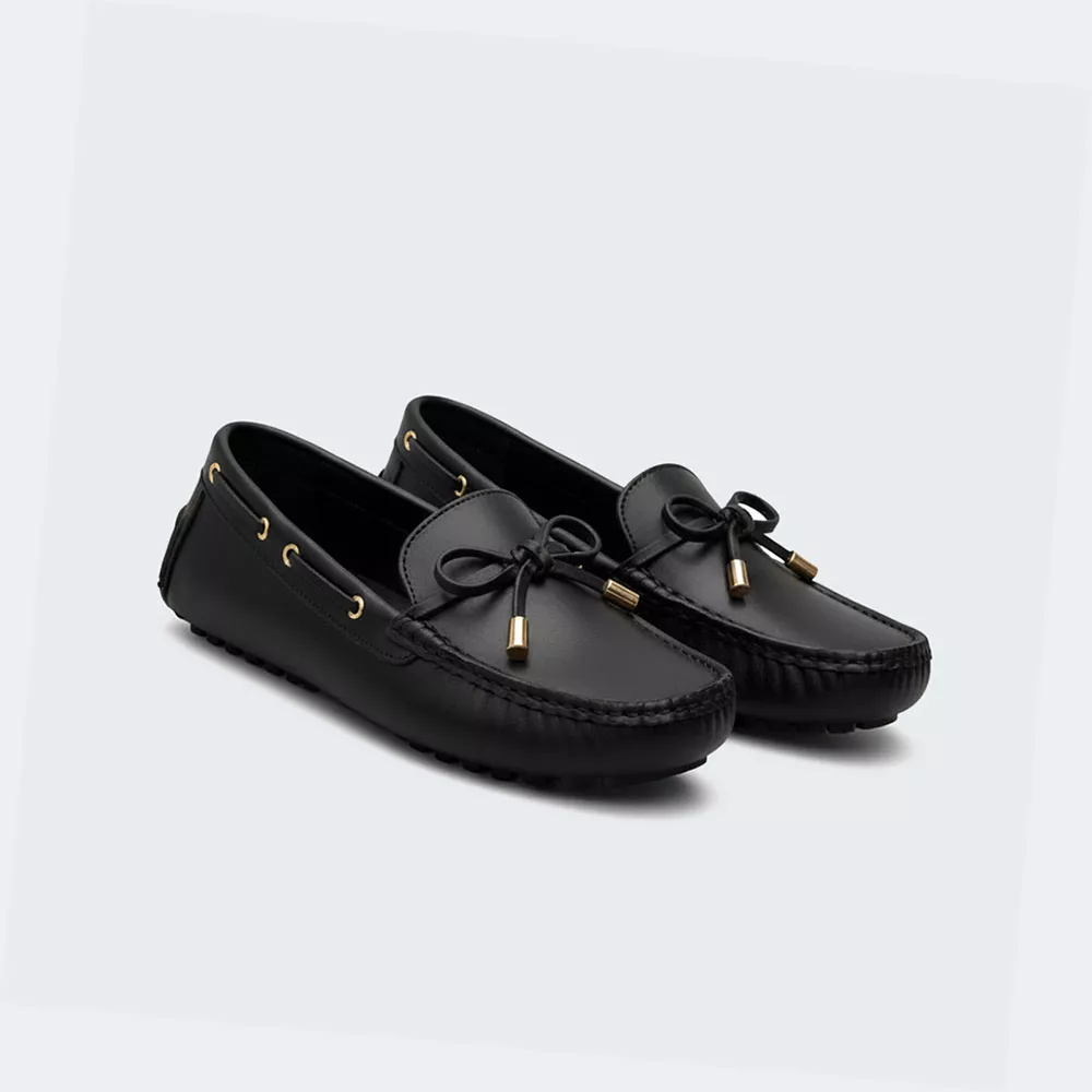 کالج طبی زیره لقمه ای